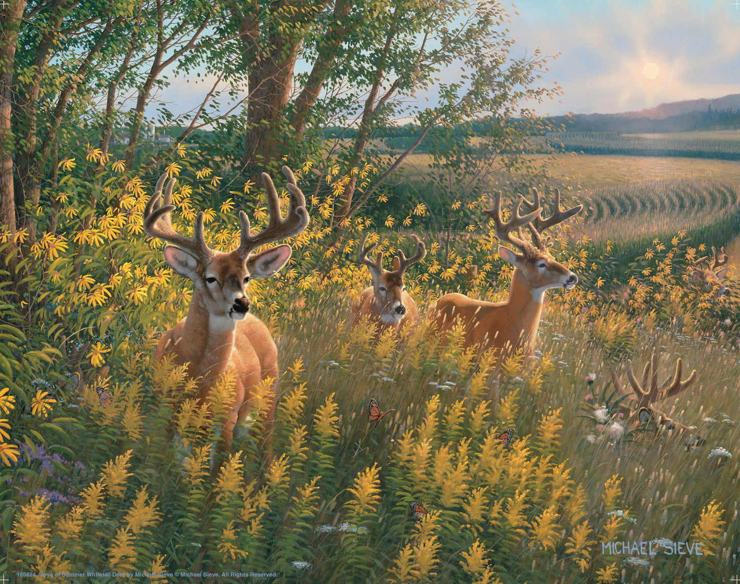 Three antlered deer stand among golden wildflowers and tall grasses at the edge of a sunlit field with rolling farmland beyond.