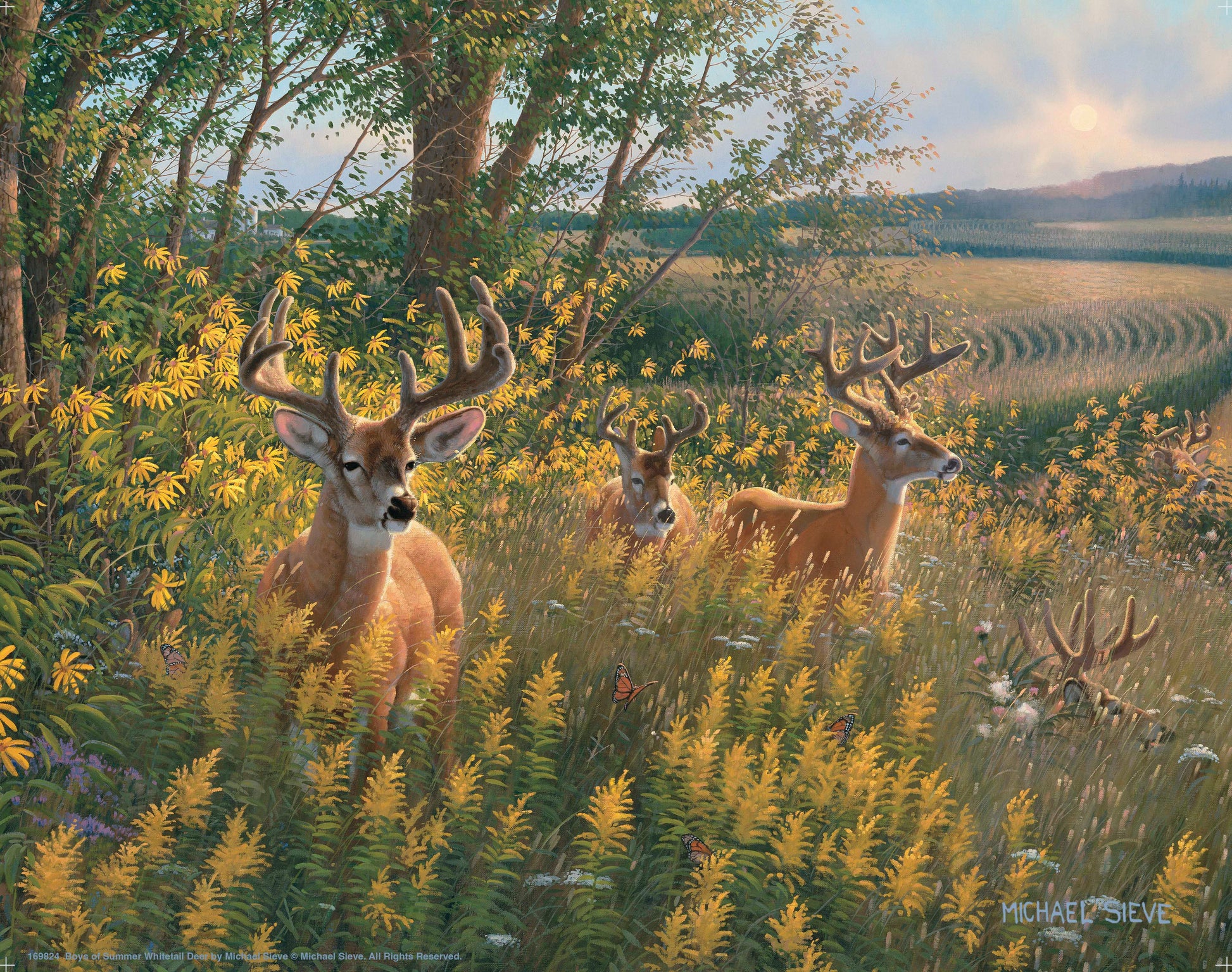 Three antlered deer stand among golden wildflowers and tall grasses at the edge of a sunlit field with rolling farmland beyond.