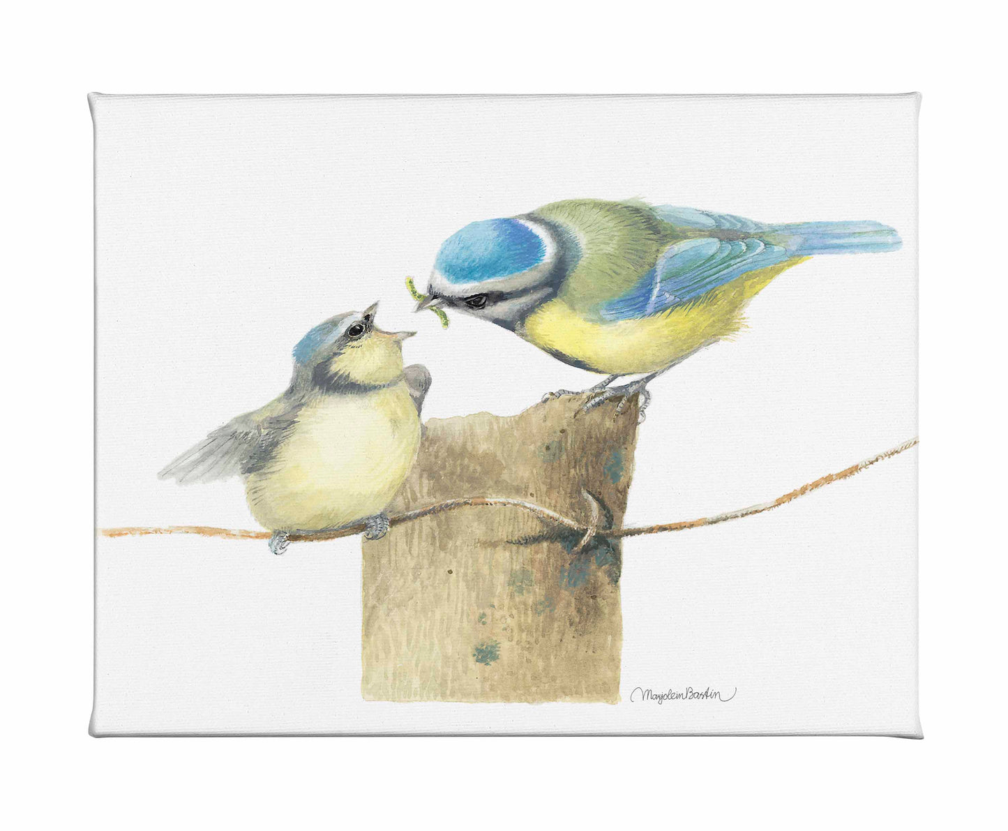 The Early Bird - Gallery Wrapped Canvas