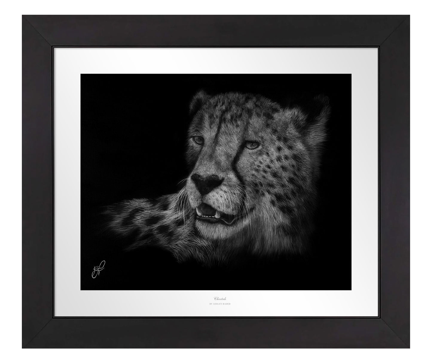 Cheetah - Master Artisan Paper