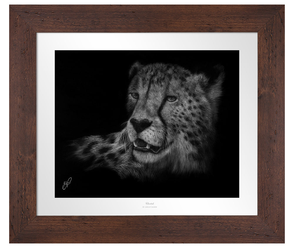 Cheetah - Master Artisan Paper