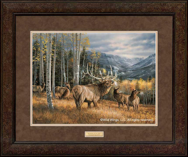 Meadow Music—Elk - GNA Premium Print GNA Premium Print from Wild Wings