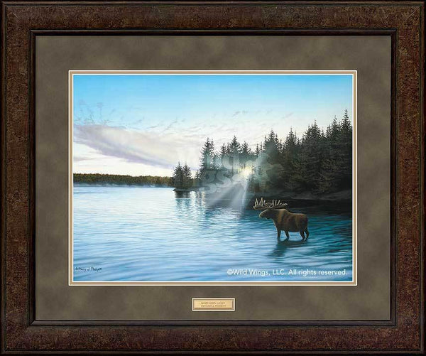 Northern Light - Moose - GNA Premium Print