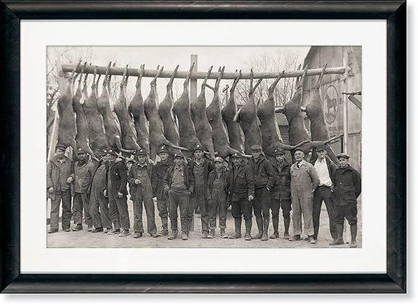 Deer Camp - Paper Print