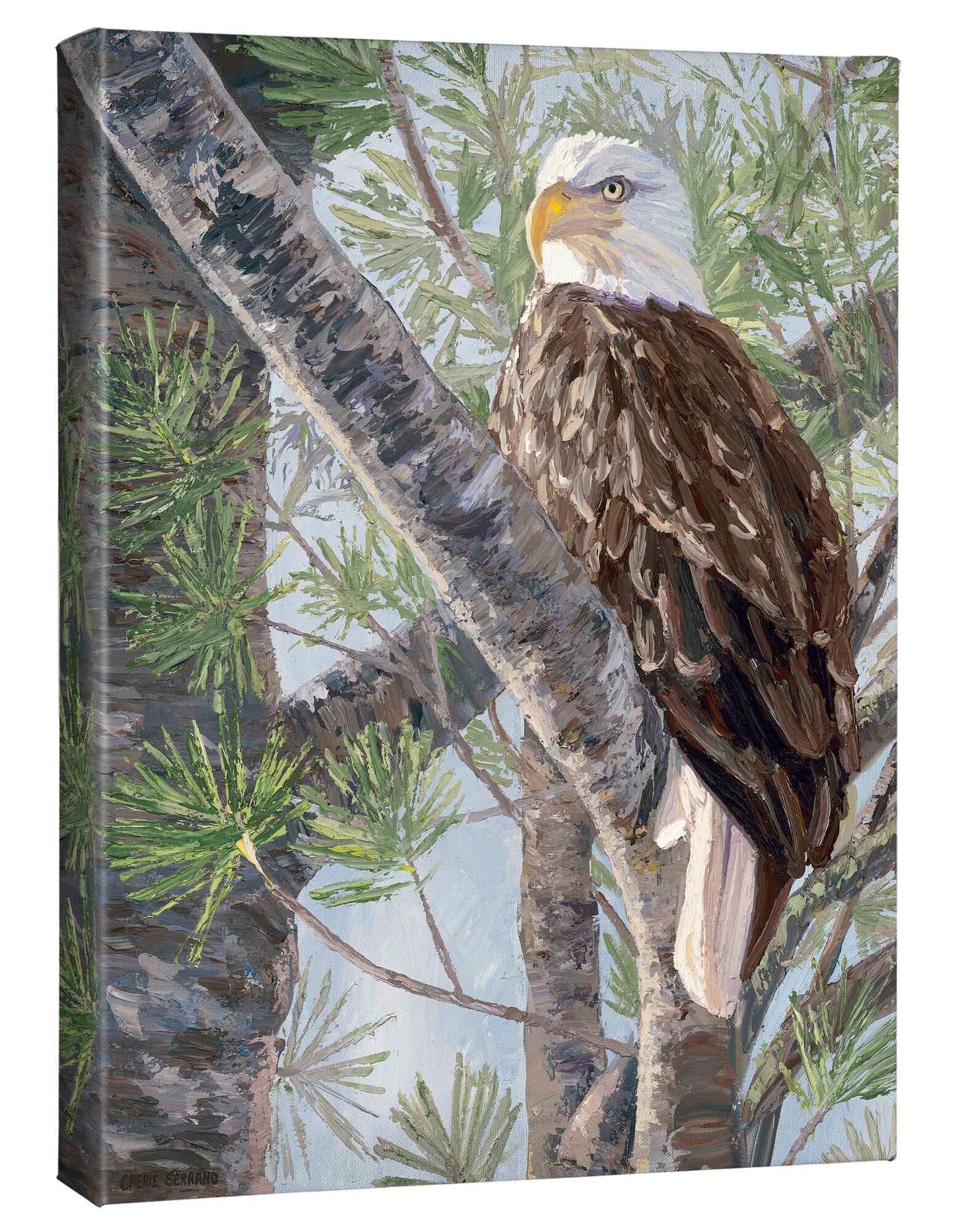 The Watchman—Bald Eagle - 20.5" x 16" Gallery Wrapped Canvas