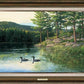 Morning Memories—Loons - 36" x 24" Framed Gallery Canvas