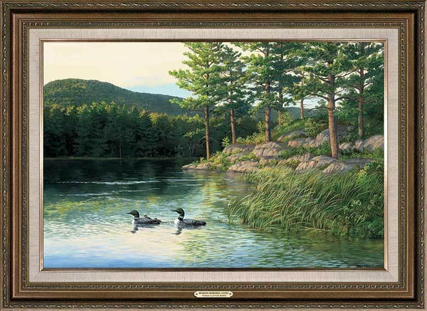 Morning Memories—Loons - 36" x 24" Framed Gallery Canvas
