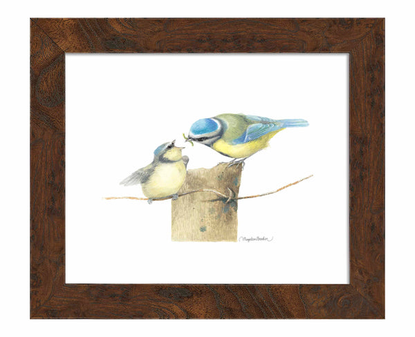 The Early Bird - Art Prints