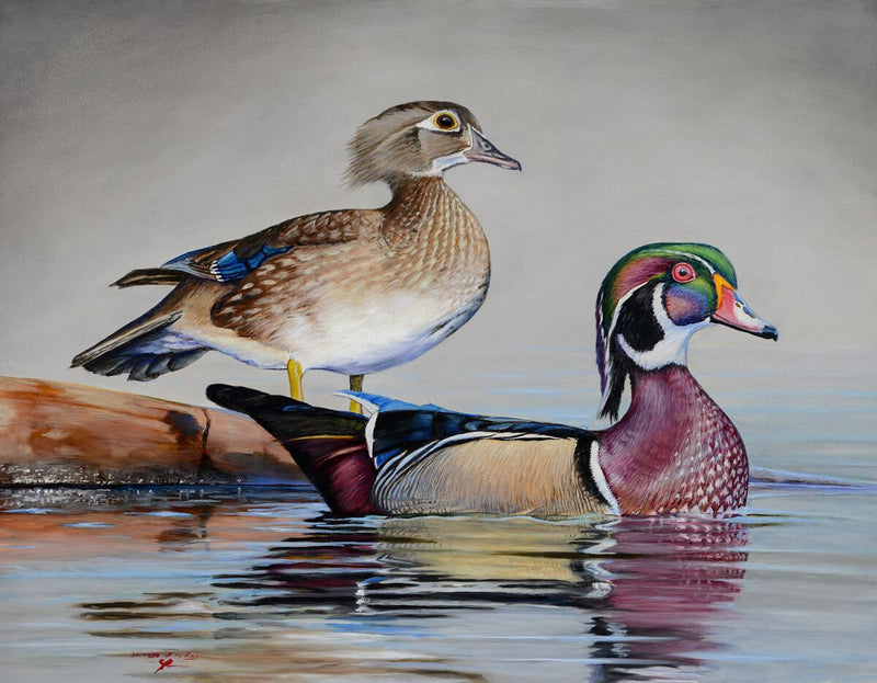 Cory James McLaughlin Open Edition Offer