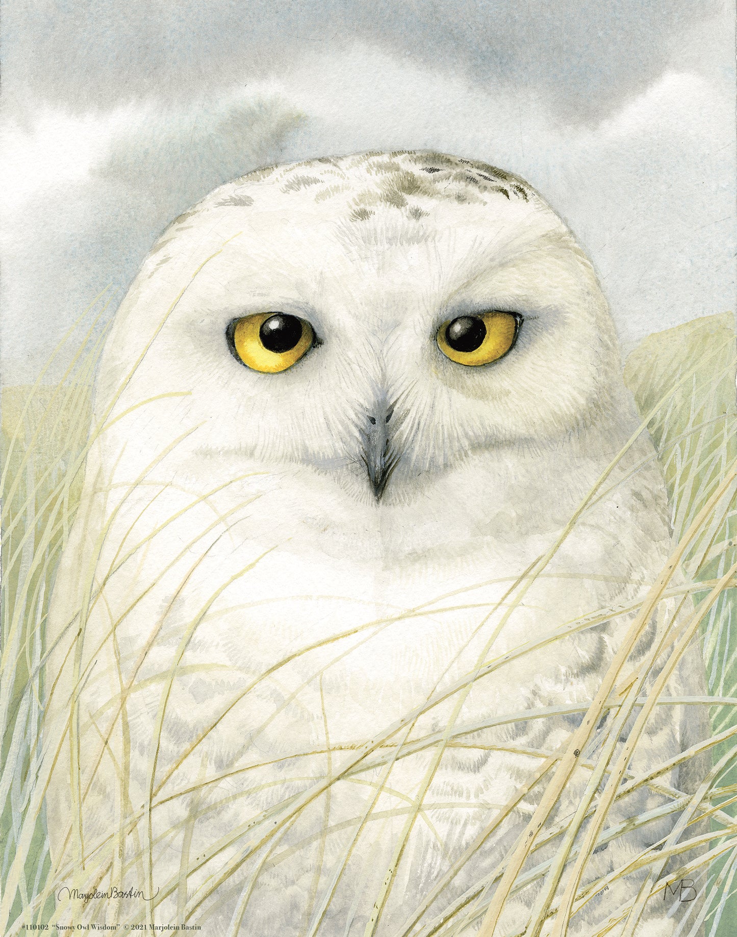 Snowy Owl Wisdom - Art Prints