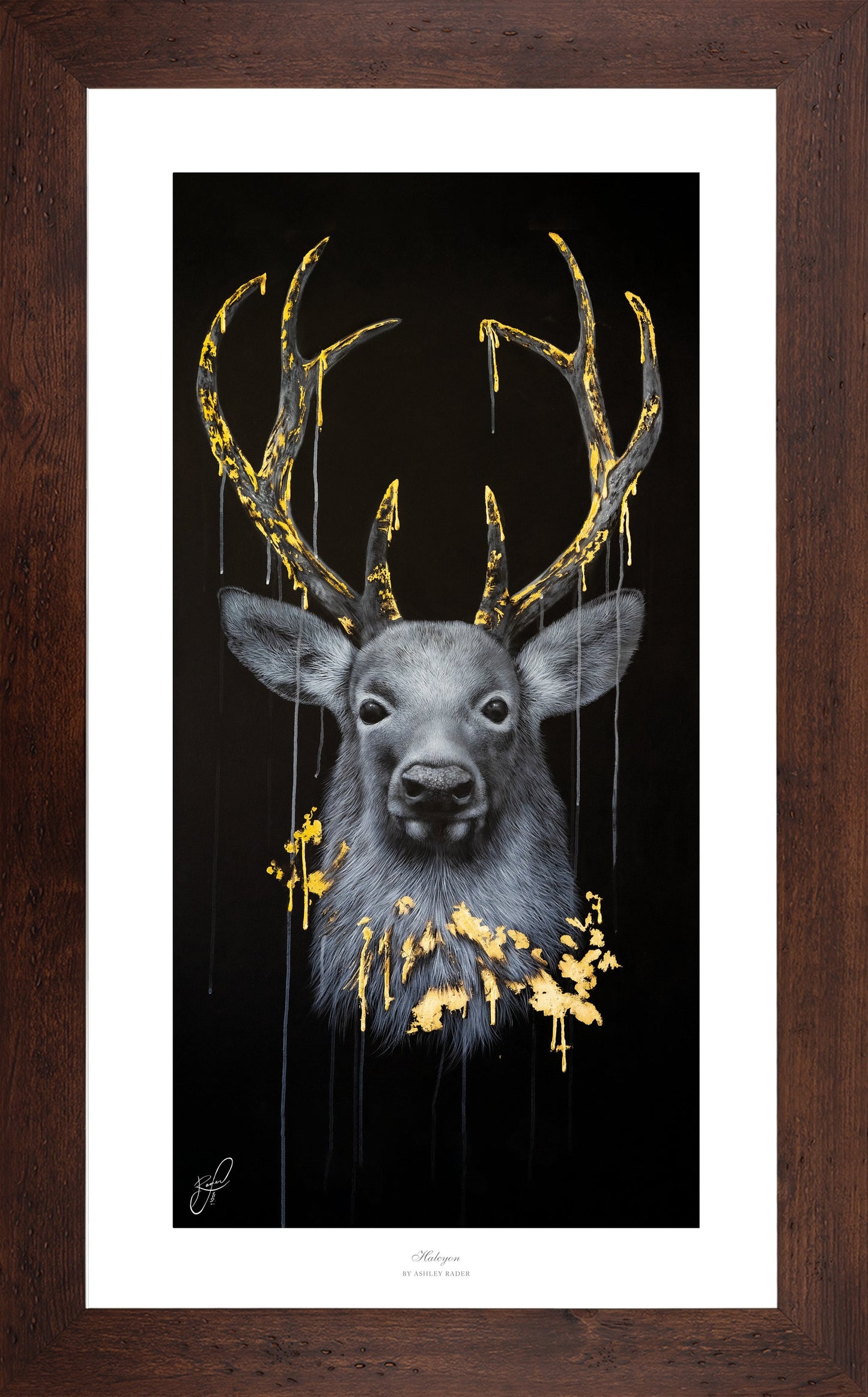 Halcyon - Master Artisan Paper