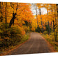 Nature Collection - Gallery Wrapped Canvas