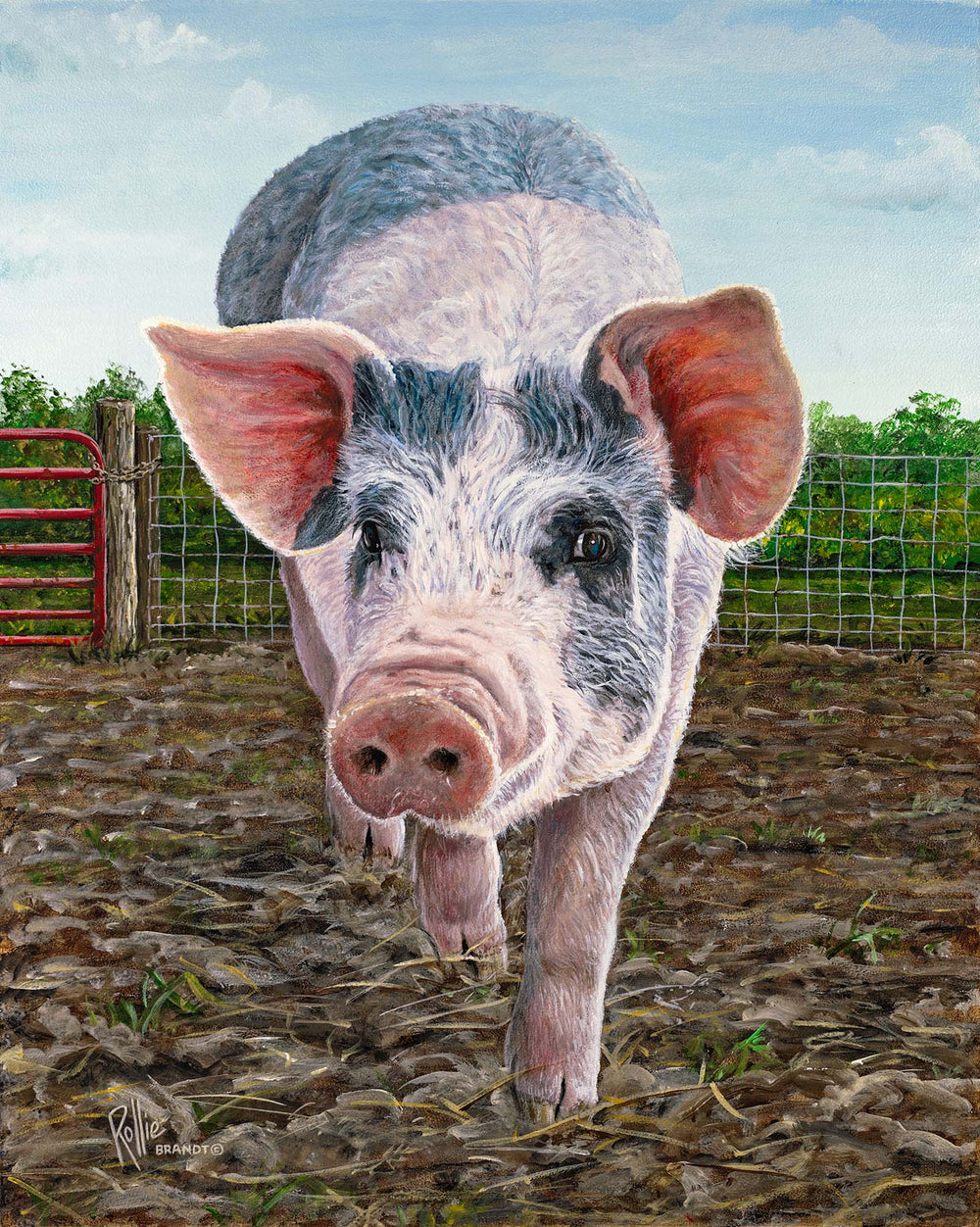 *Original* Oink by Rollie Brandt 20" x 16"