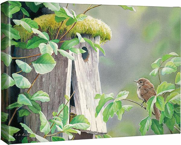 A Fixer Upper - House Wren - 13" x 18" Gallery Wrapped Canvas
