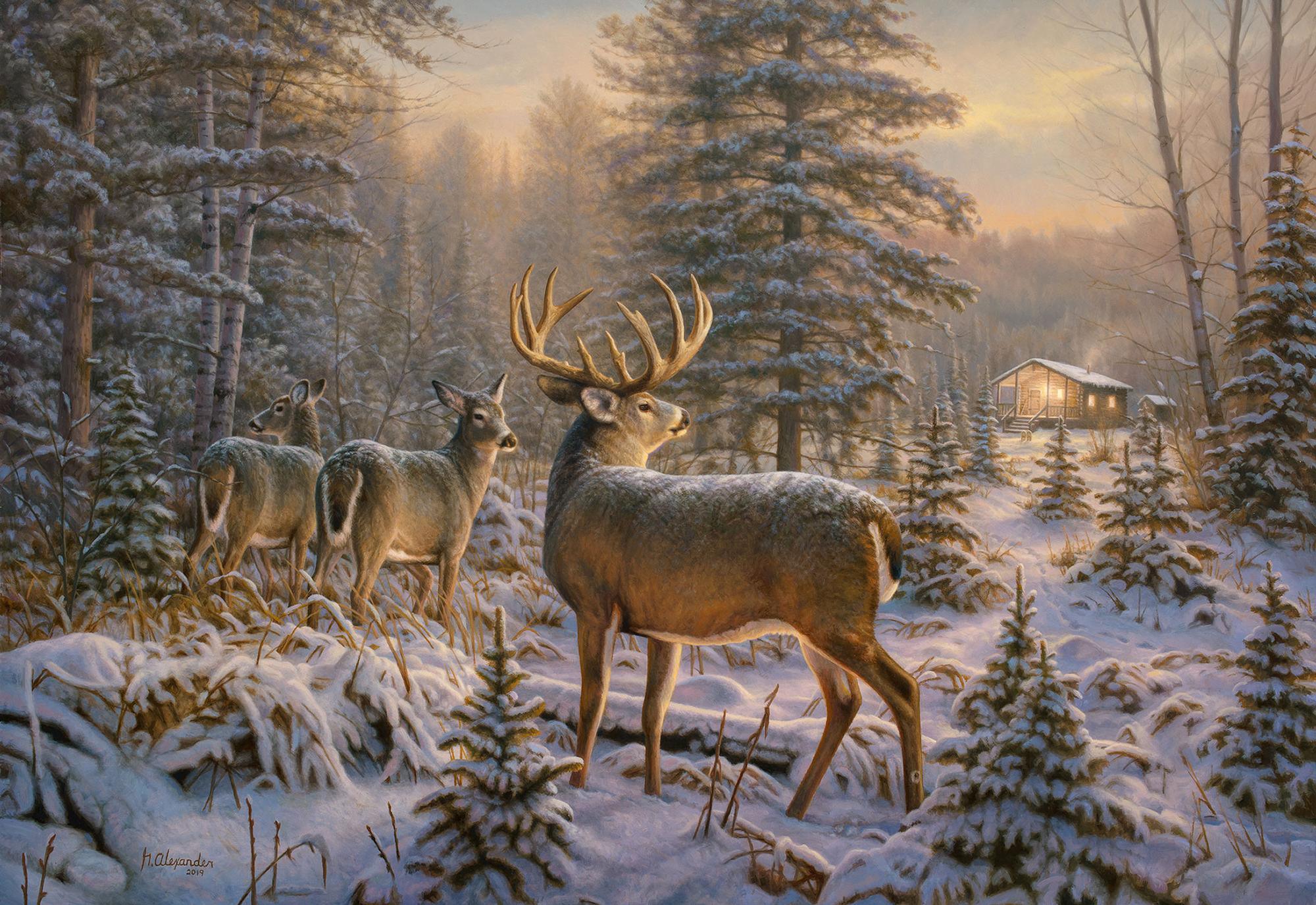 アルケミエ　7th と6th ジン　アブサン　wild deer 12本セット Shop After Hours—Deer Shack From Wild Wings
