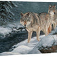 Along the Creekside - Wolves - 18" x 36" Gallery Wrapped Canvas