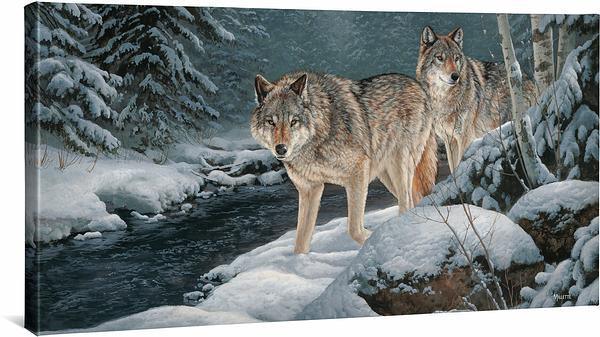 Along the Creekside - Wolves - 18" x 36" Gallery Wrapped Canvas