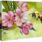 Apple—Bee - 11" x 14" Gallery Wrapped Canvas