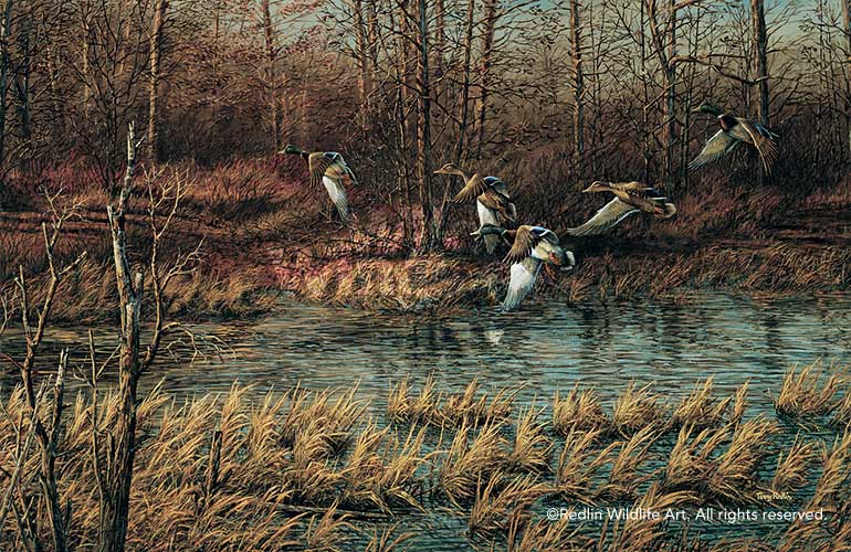 apple-river-mallards-by-terry-redlin-1701100001d.jpg