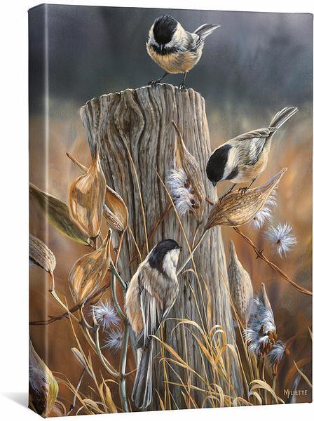Autumn - Black Capped Chickadee - 18" x 13" Gallery Wrapped Canvas