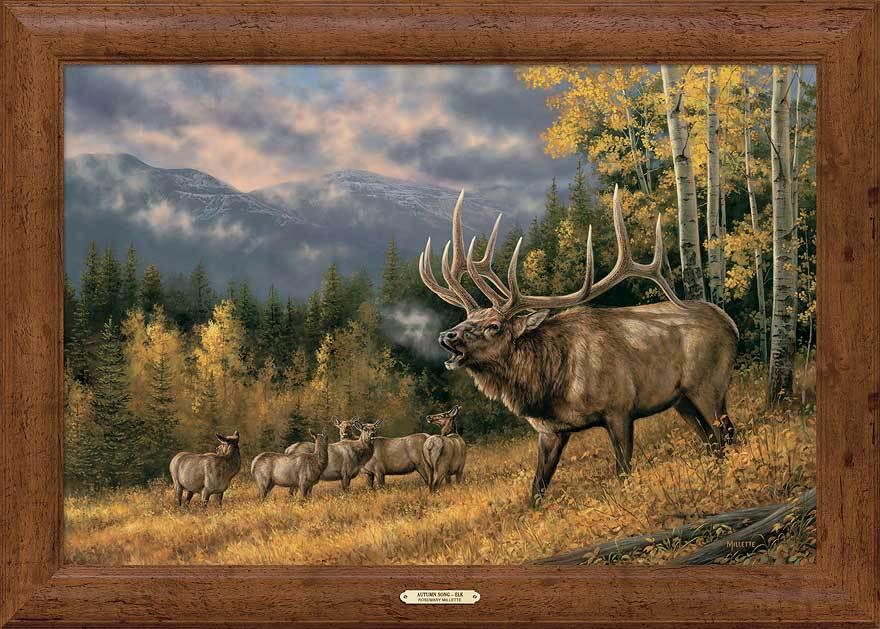Autumn Song—Elk - 24" x 36" Framed Gallery Canvas