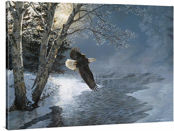 Awakening - Bald Eagle - 33.5" x 45.5" Gallery Wrapped Canvas