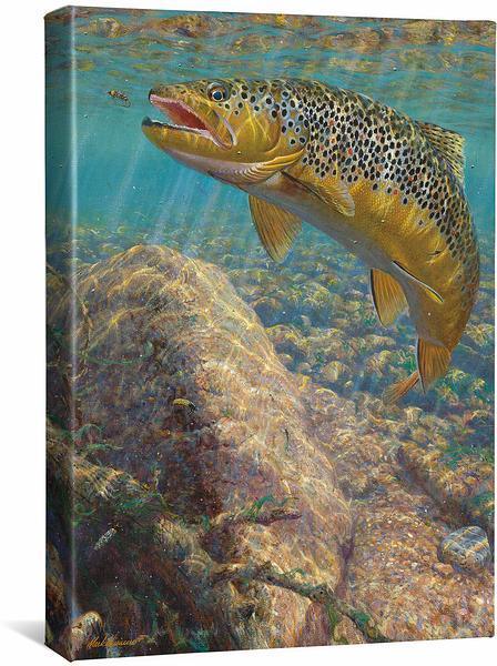 Bad Decision - Brown Trout - 18" x 13" Gallery Wrapped Canvas
