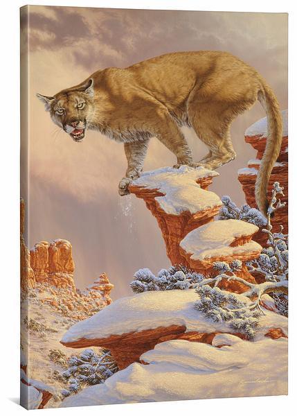 Balance Rock—Cougar - 36" x 24" Gallery Wrapped Canvas