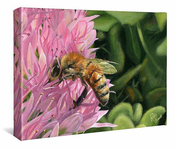 Bee Happy—Honeybee - 11" x 14" Gallery Wrapped Canvas