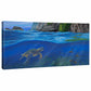 Big Island—Sea Turtle - 16" x 31" Gallery Wrapped Canvas