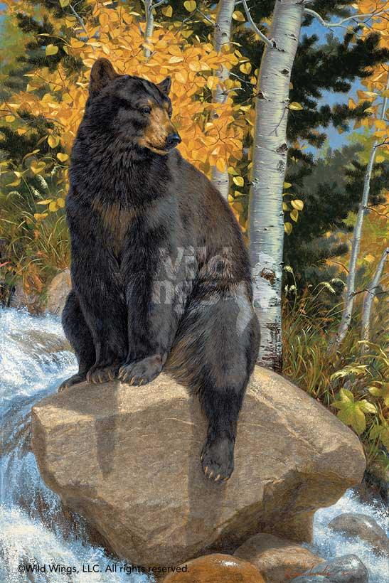 Paws that Refreshes—Black Bear - Limited Edition Paper Limited