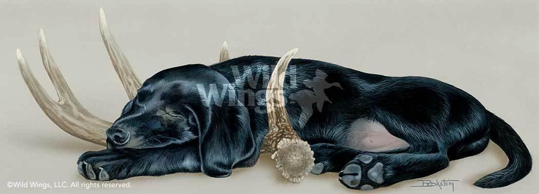black-lab-puppy-art-print-rack-em-up-by-larry-beckstein-1047701056d_9ee0854d-7898-45b7-81f8-95b1d30eb6d9.jpg