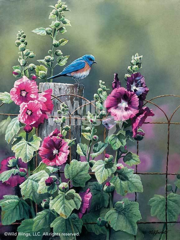 bluebird-and-hollyhocks-by-susan-bourdet-1085088038d_b2af40dc-66ec-4309-b512-eb7a049324ec.jpg