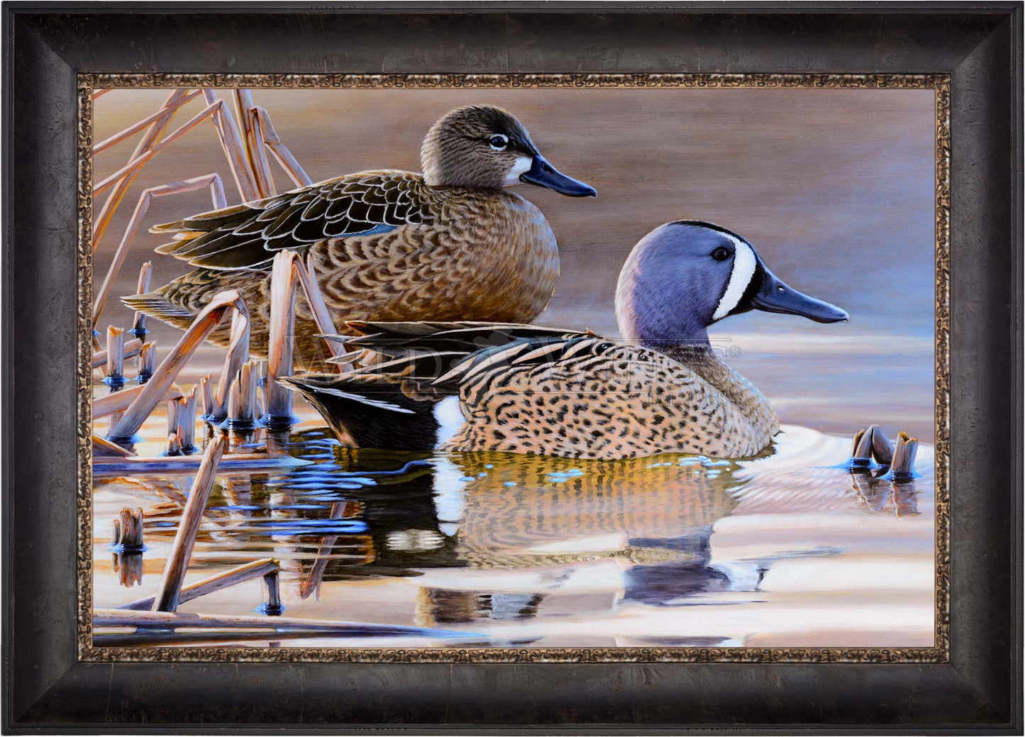 Early Morning Blues - Limited Edition Canvas