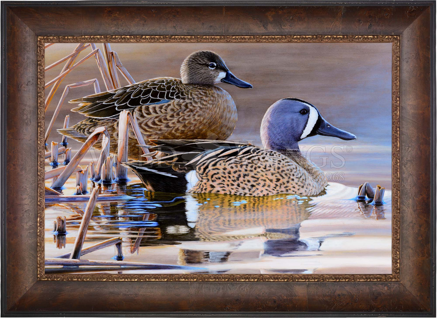 Early Morning Blues - Limited Edition Canvas