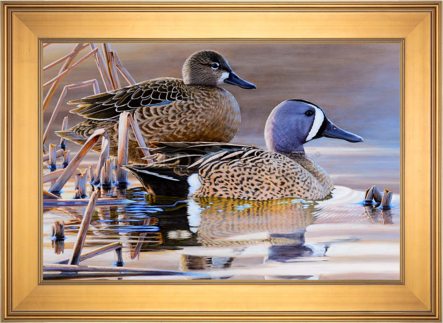 Early Morning Blues - Limited Edition Canvas