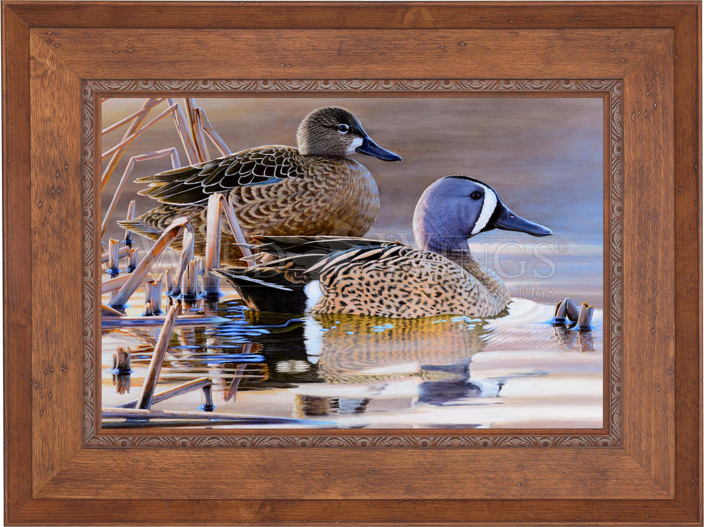 Early Morning Blues - Limited Edition Canvas
