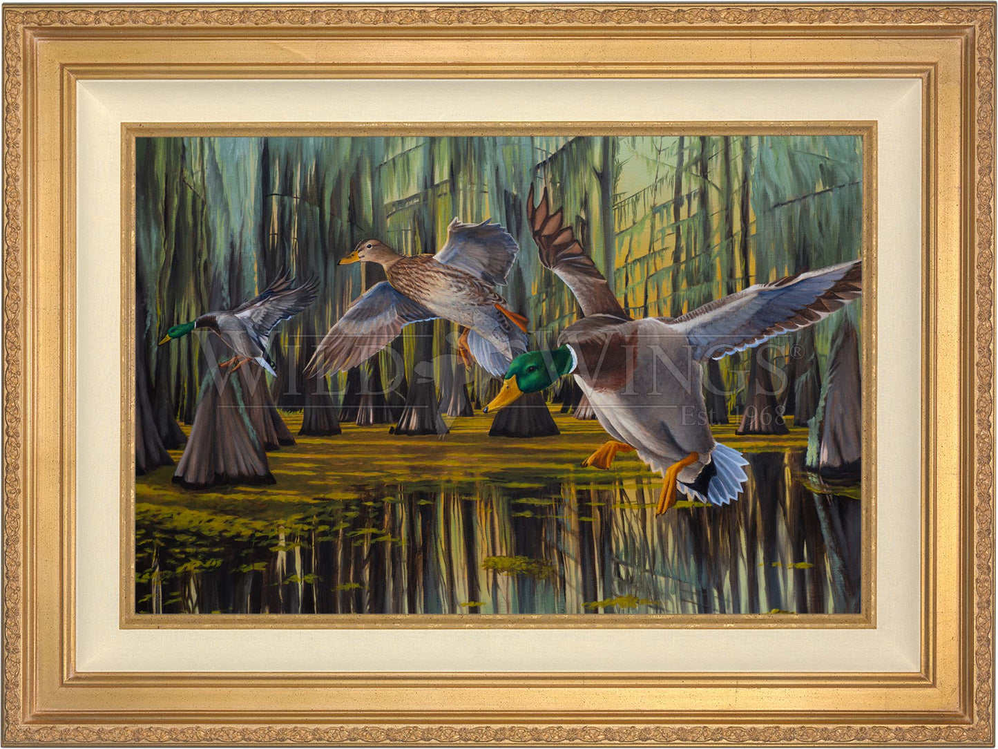 Timber Greenheads - Limited Edition Canvas