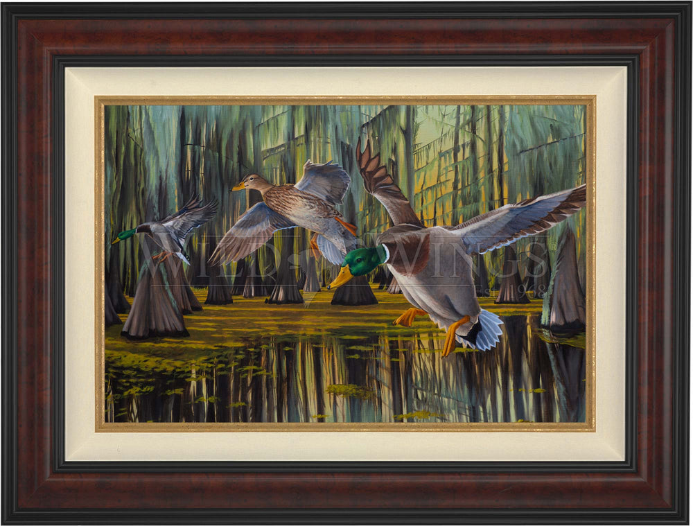 Timber Greenheads - Limited Edition Canvas