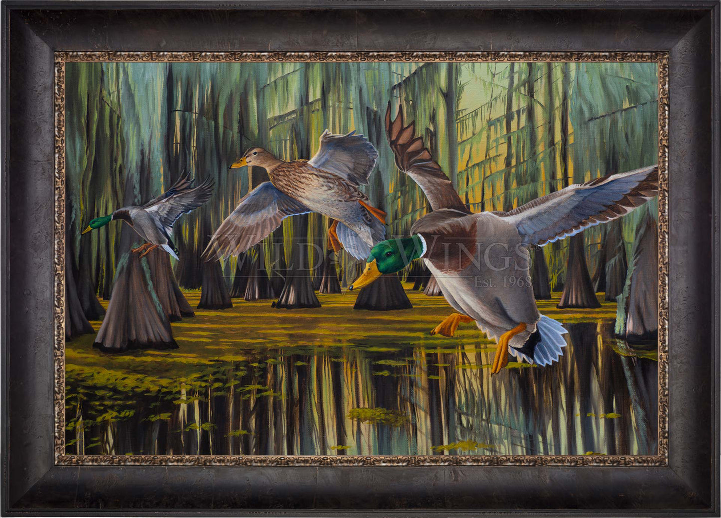 Timber Greenheads - Limited Edition Canvas