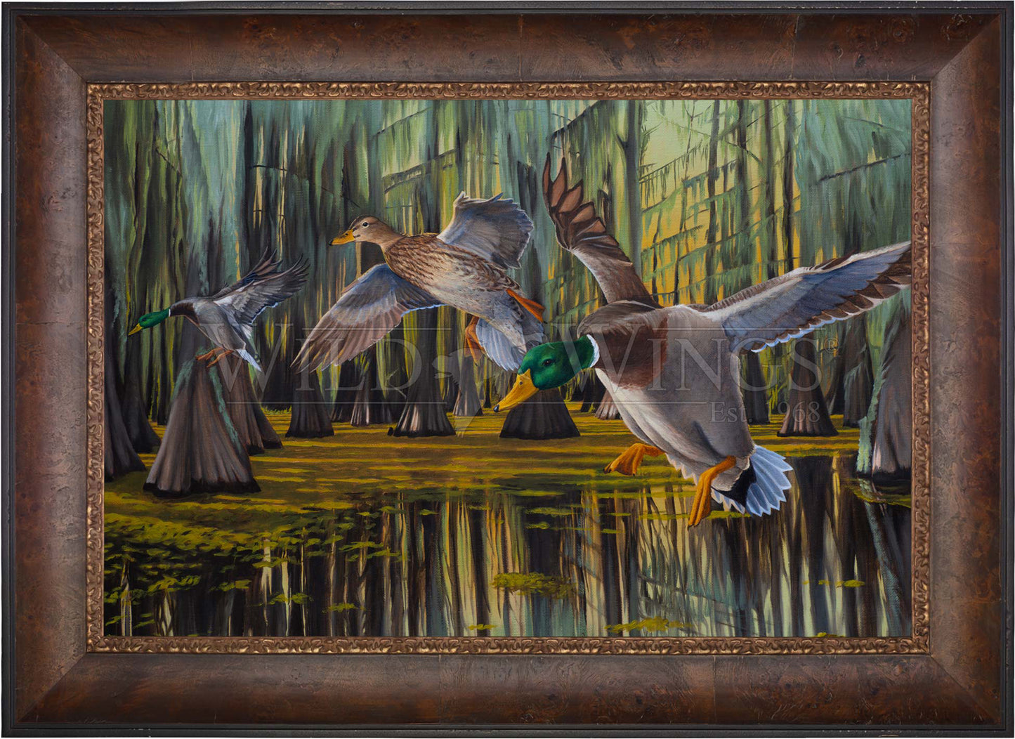 Timber Greenheads - Limited Edition Canvas
