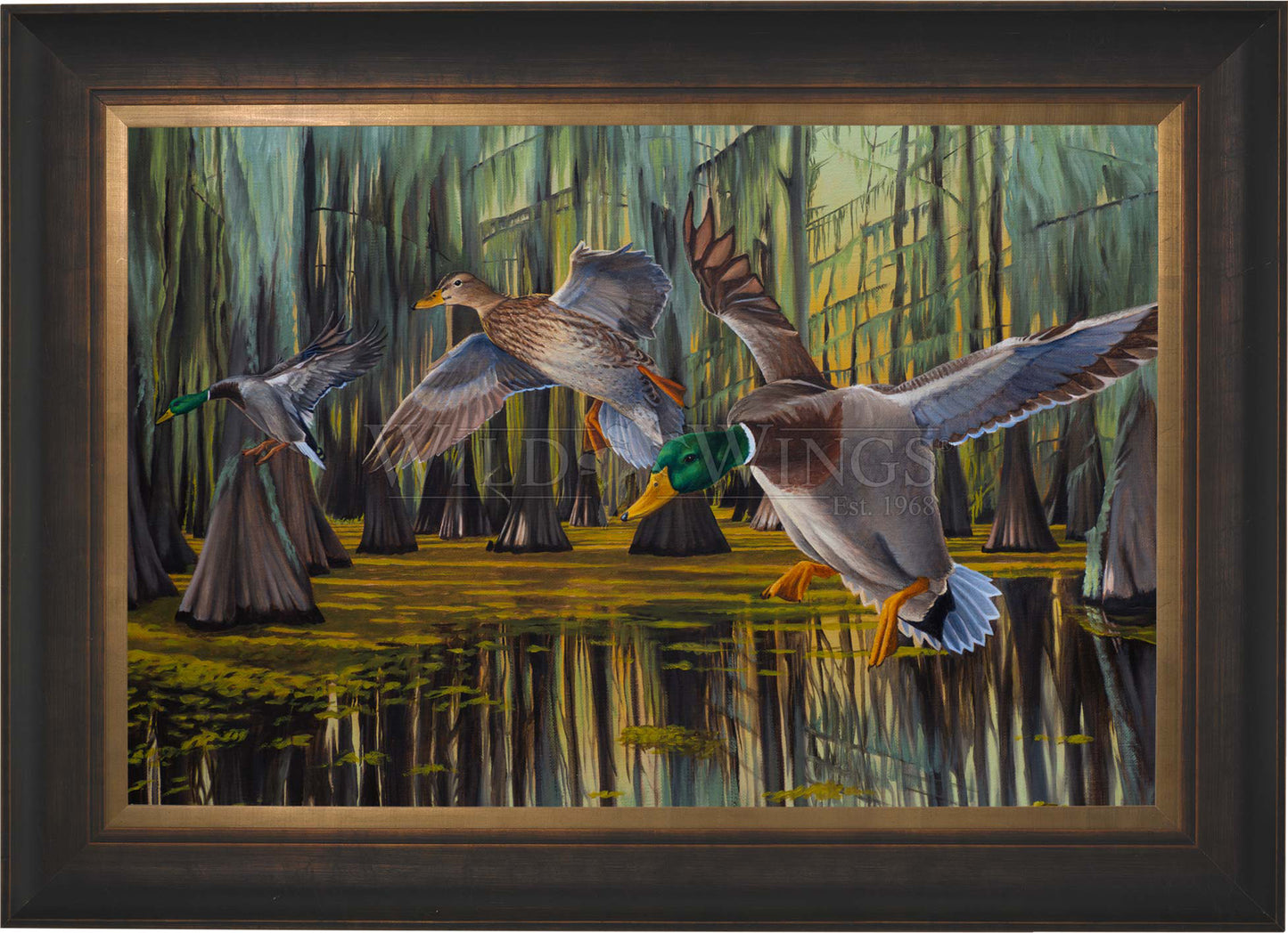 Timber Greenheads - Limited Edition Canvas