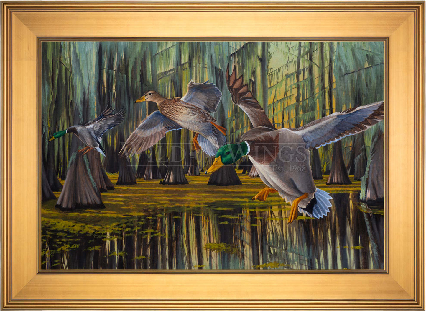 Timber Greenheads - Limited Edition Canvas