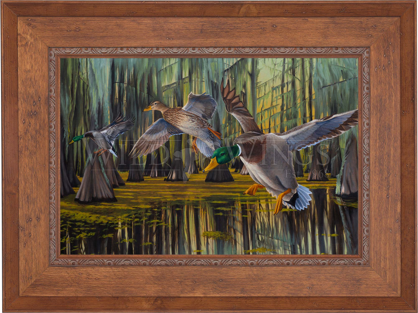 Timber Greenheads - Limited Edition Canvas