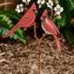 Cardinals - Garden Stake