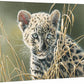 Cat Eyes - Leopard - 13" x 18" Gallery Wrapped Canvas