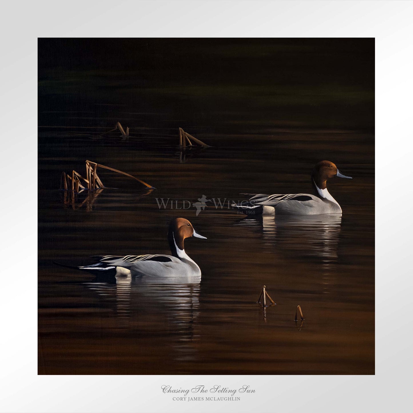 Chasing the Setting Sun - Limited Edition Paper