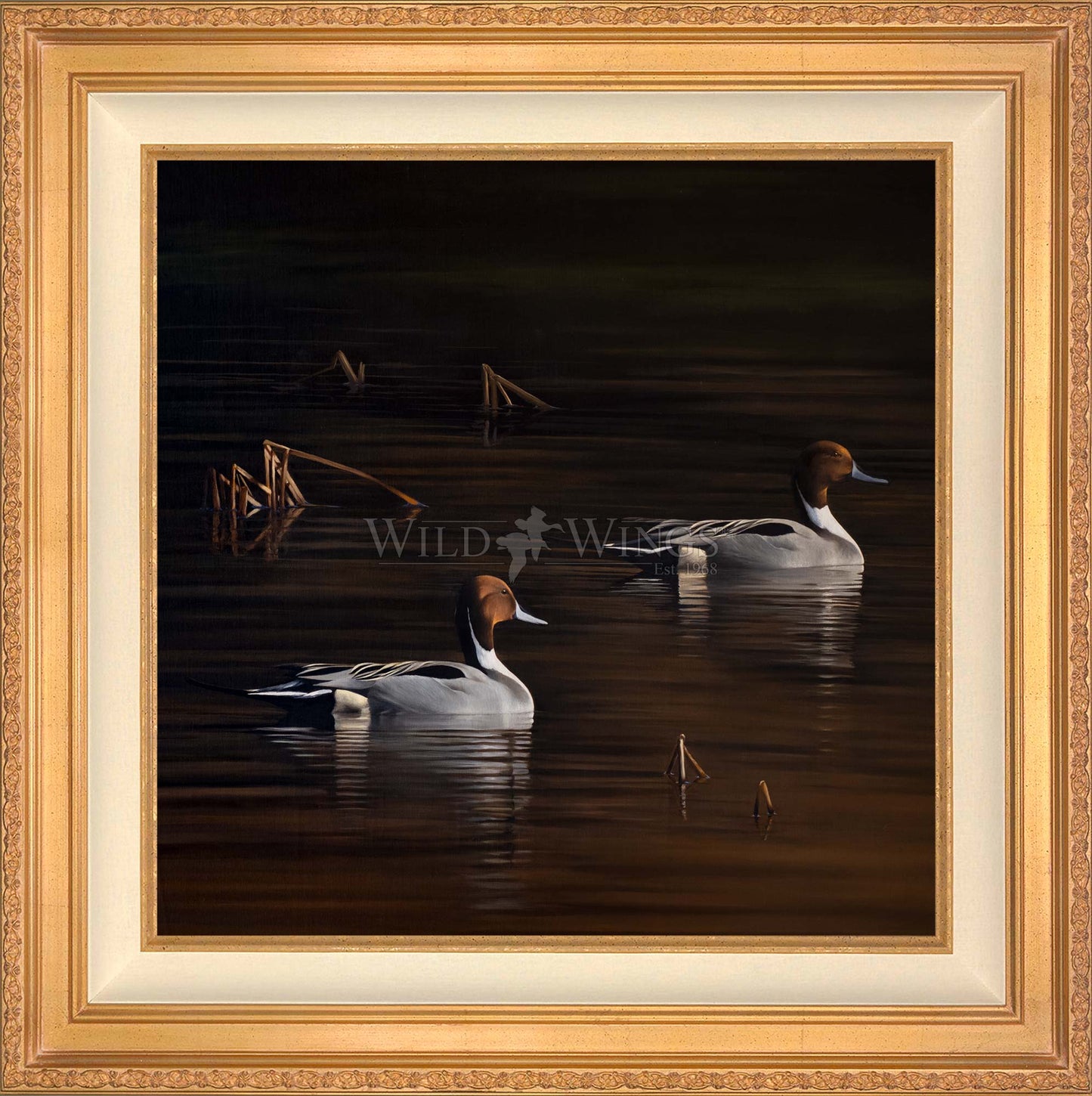 Chasing the Setting Sun - Limited Edition Canvas