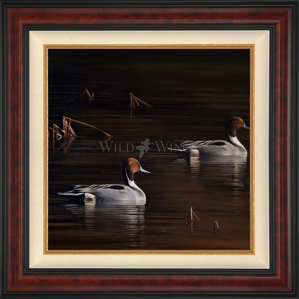 Chasing the Setting Sun - Limited Edition Canvas