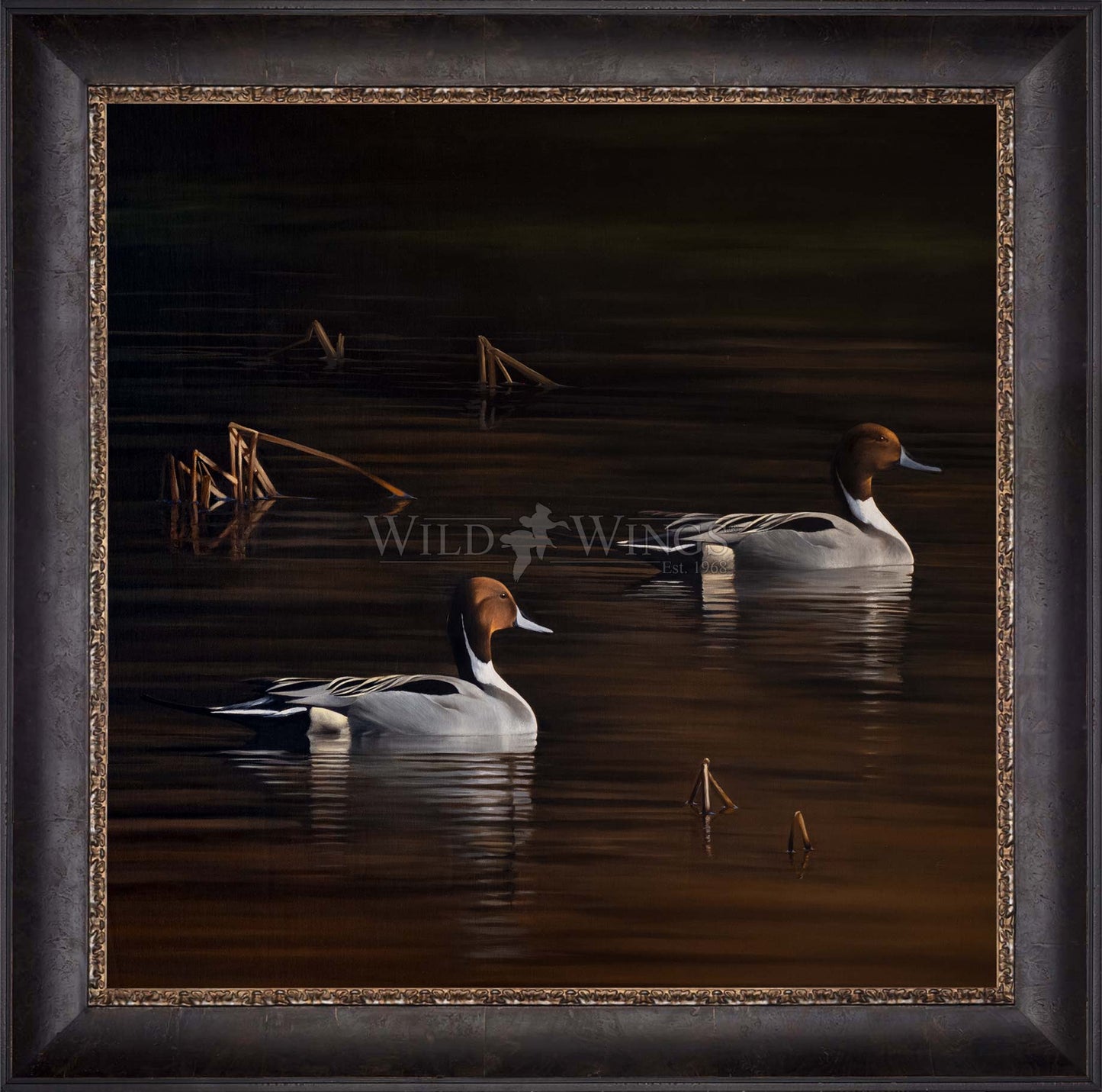 Chasing the Setting Sun - Limited Edition Canvas